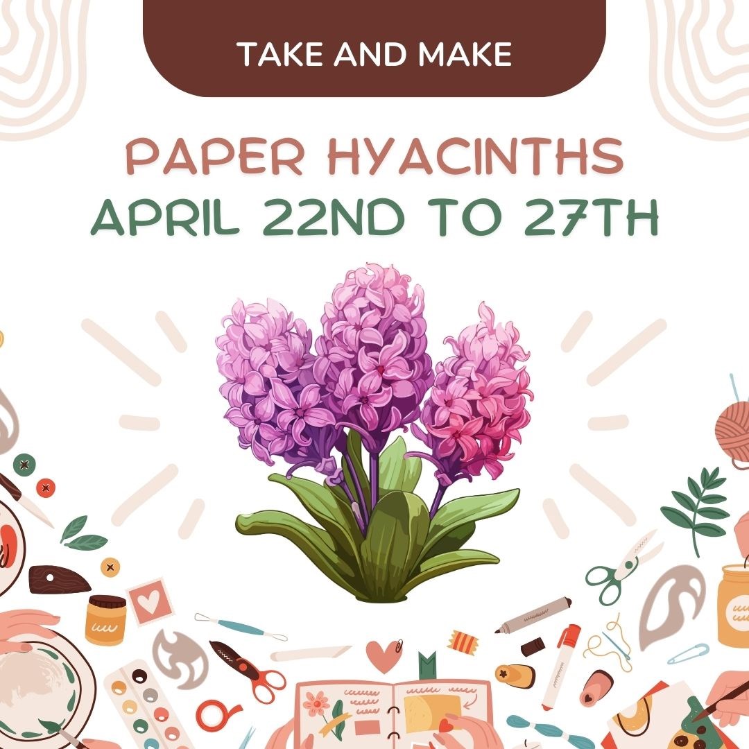 Movie Afternoon Star Wars