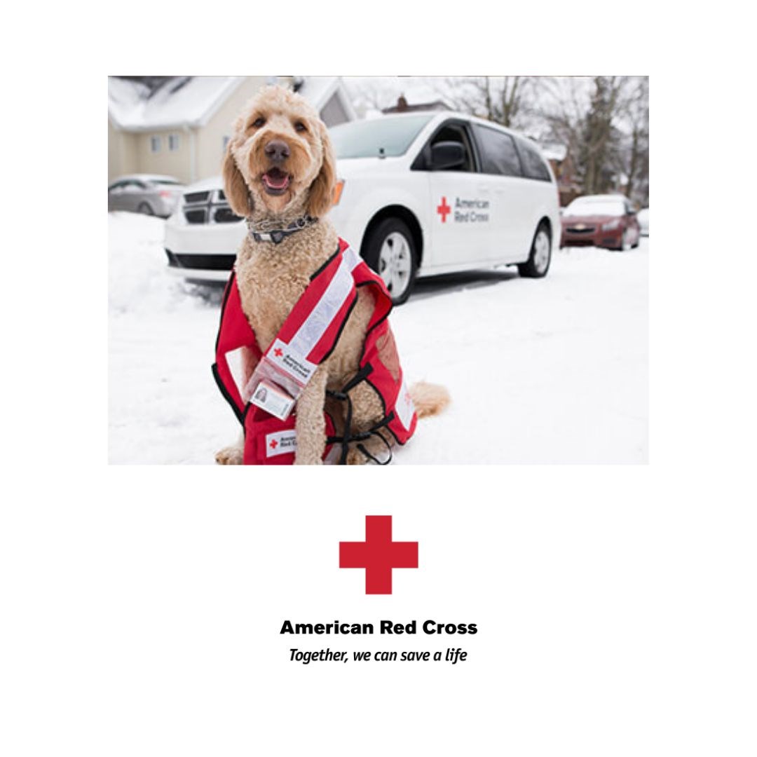 Storytime with Marissa