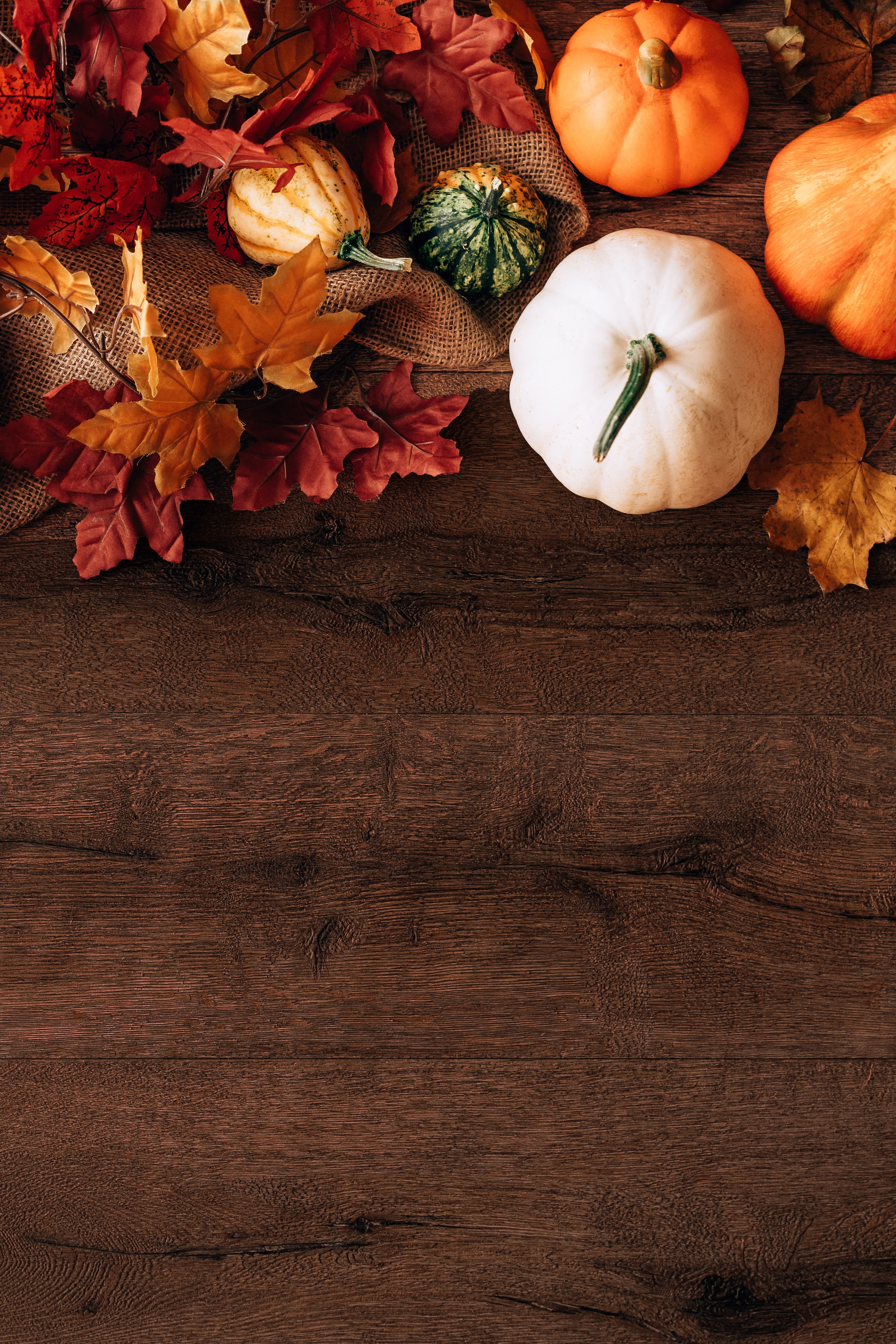 Fall Pumpkins and Leaves on Brown Wood Background