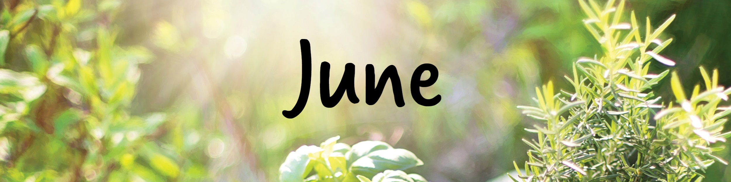 E-Blast Header - June
