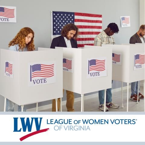 Adults standing at voting booths voting.