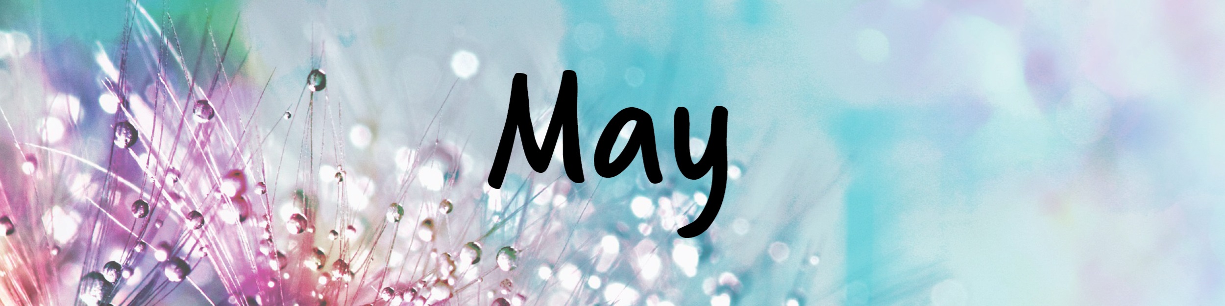E-Blast Header - May 2