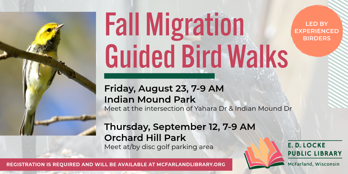 Fall Migration Guided Bird Walks. Led by experienced birders. Thursday, September 12, 7-9 AM, Orchard Hill Park. Meet at/by disc golf parking area. Registration required and will be available at mcfarlandlibrary.org