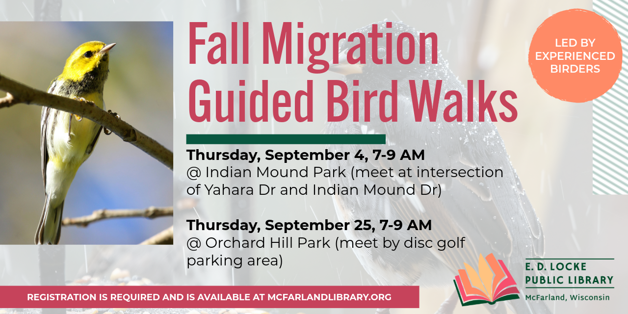 Fall Migration Guided Bird Walks. Thursday, September 4, 7-9 AM @ Indian Mound Park (meet at intersection of Yahara Dr and Indian Mound Dr). Thursday, September 25, 7-9 AM @ Orchard Hill Park (meet by disc golf parking area). Led by experienced birders. Registration is required and is available at mcfarlandlibrary.org.