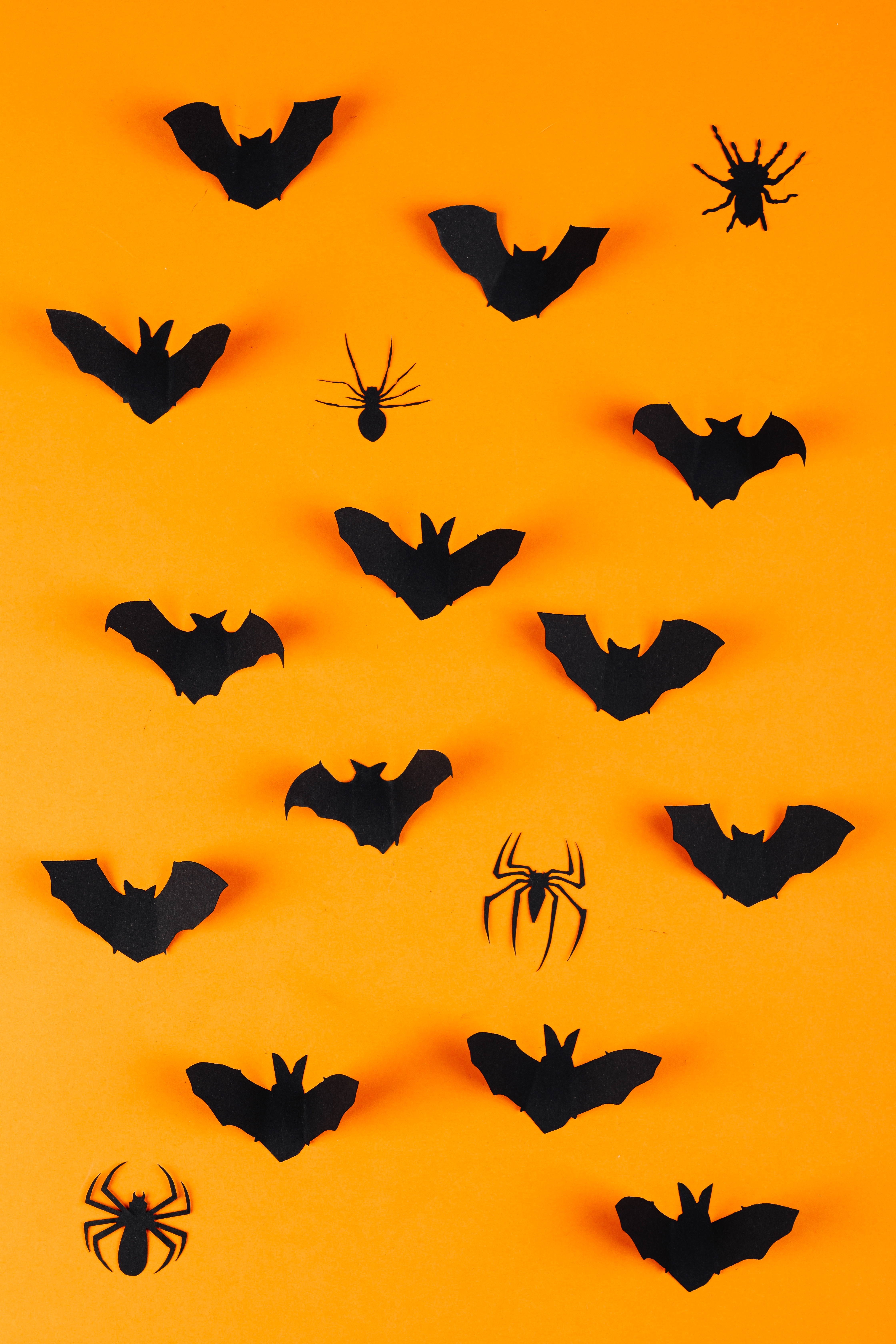 Black Bats and Spiders on Orange Background