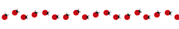Header - Ladybugs in a line