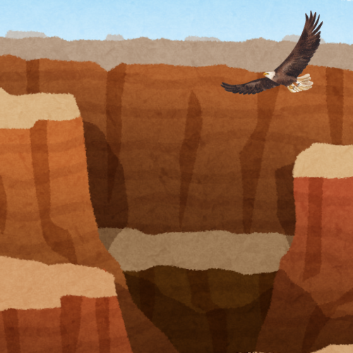 man planting flower pots