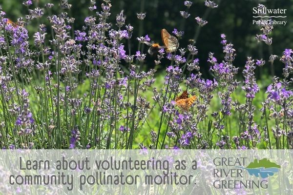 Community Pollinator Monitoring