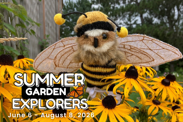 Tiny owl puppet dressed up as a bee in a garden on black-eyed susan flowers