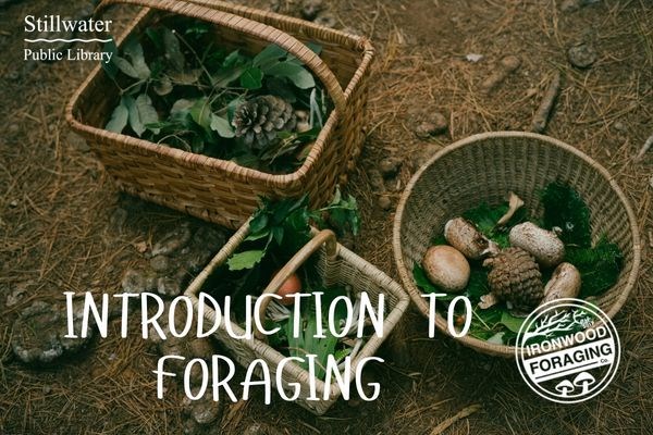 Intro to Foraging