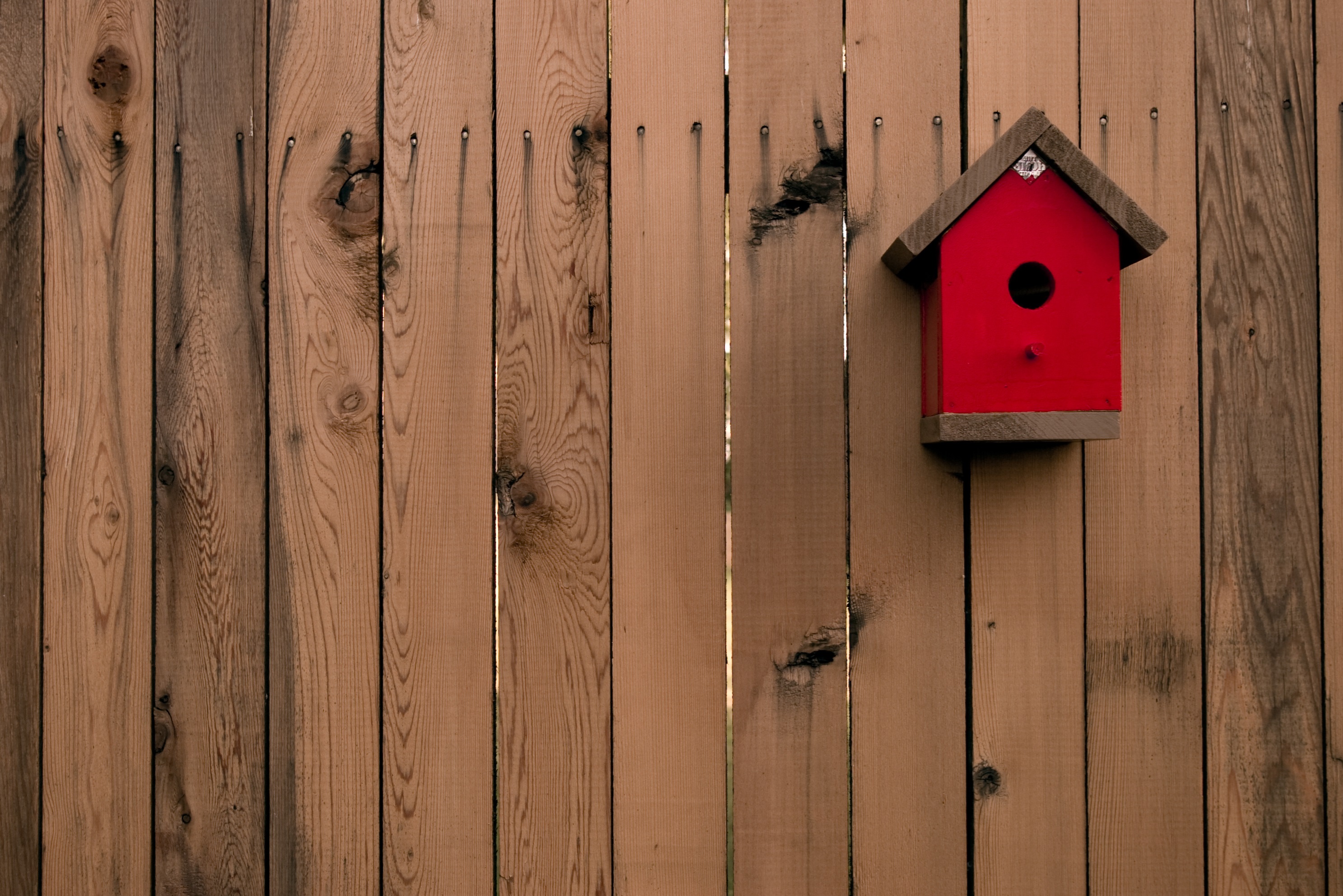 Little Red Birdhouse Hanging on Fence
