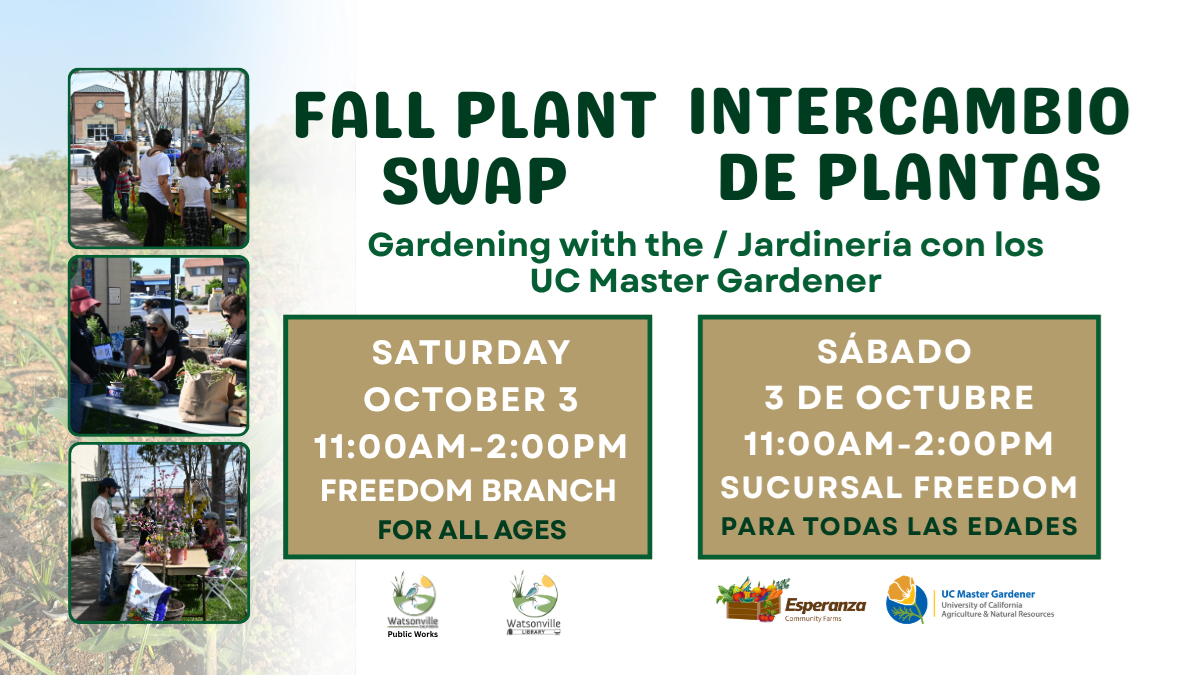 Anuncio de intercambio de plantas 3 de octubre. Tres imágenes de individuos con plantas,
