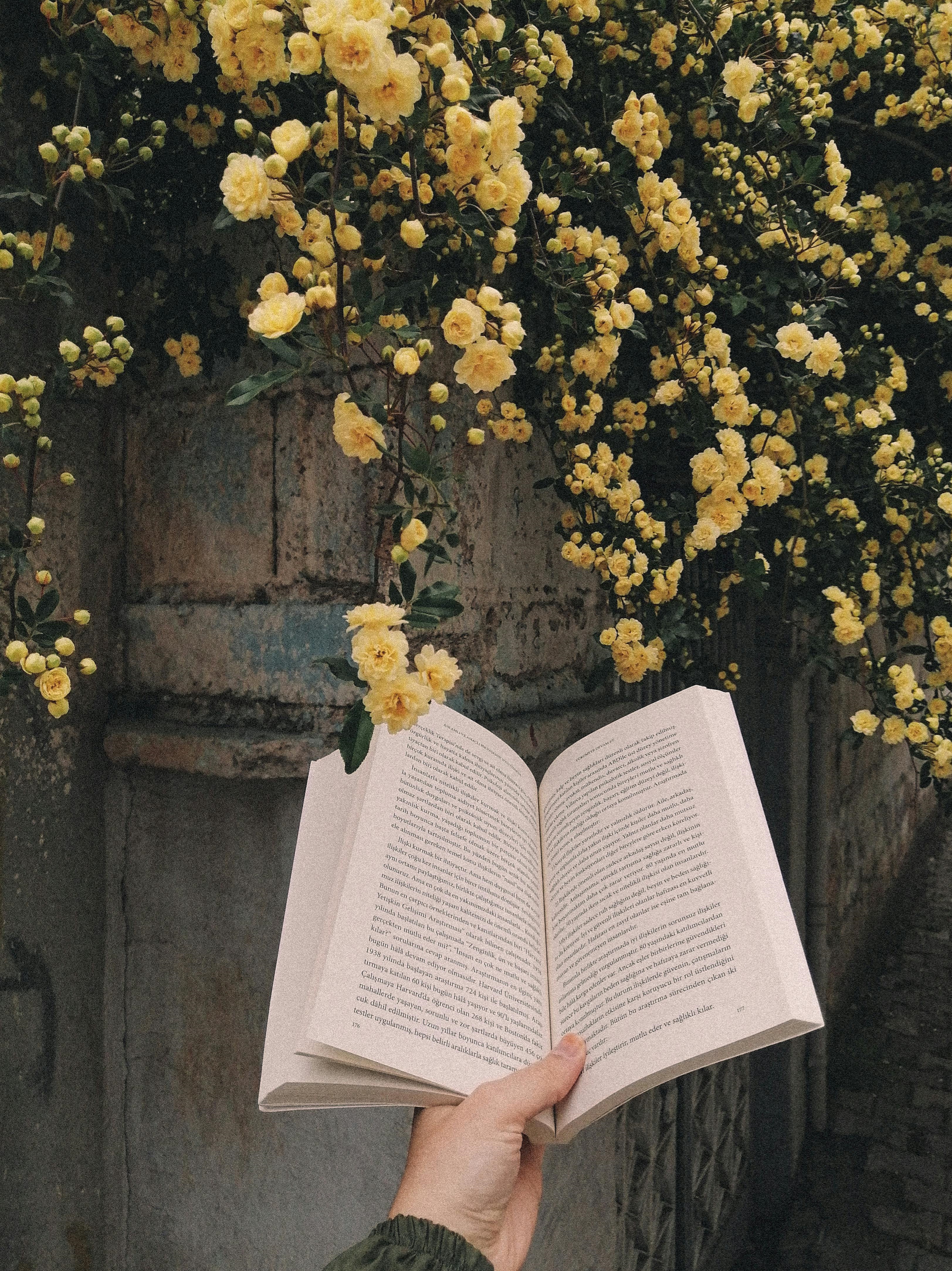 Hand Holding Up an Open Book Against a Wooden Door and Draping Yellow Flowers