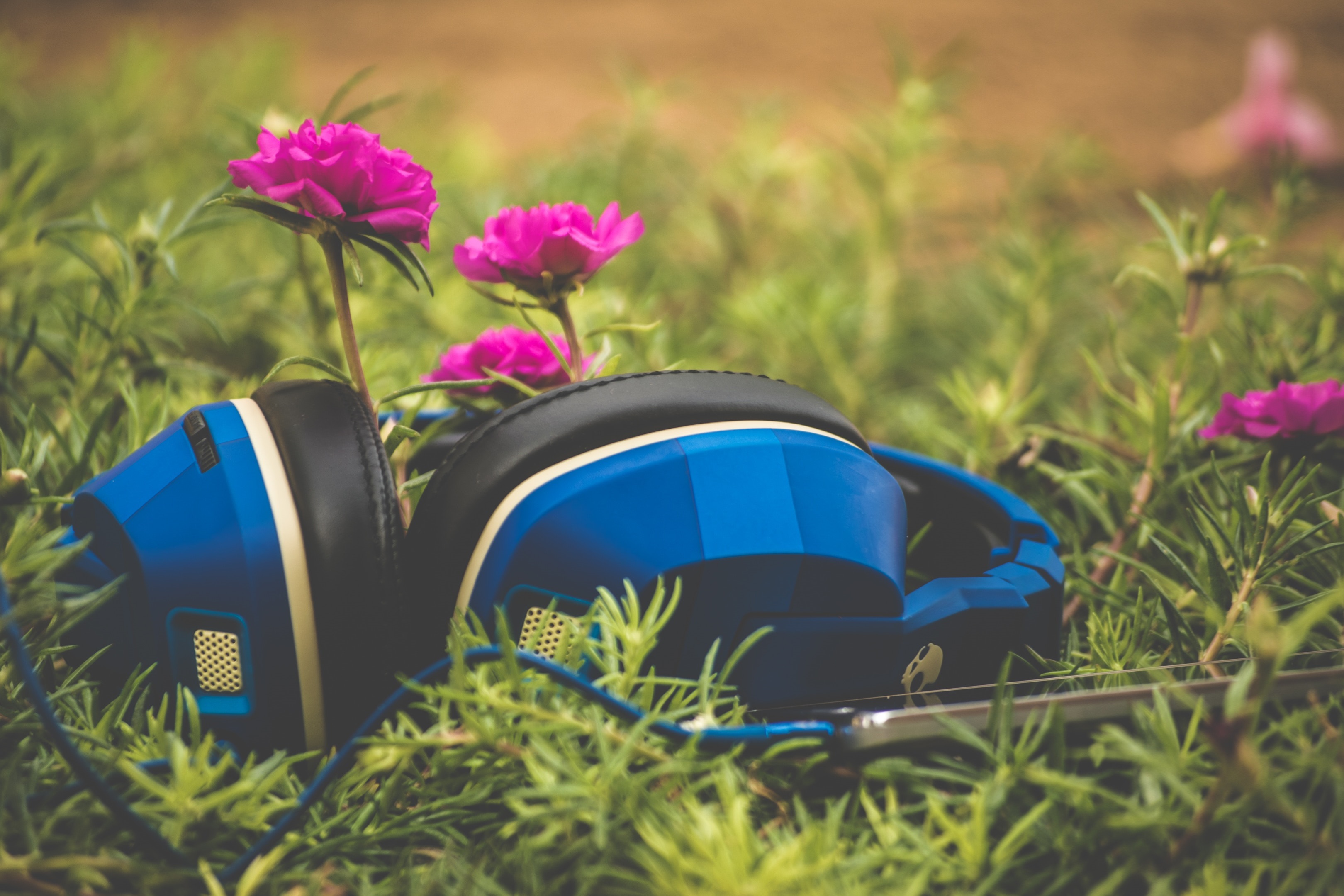 Headphones on Grassy Field