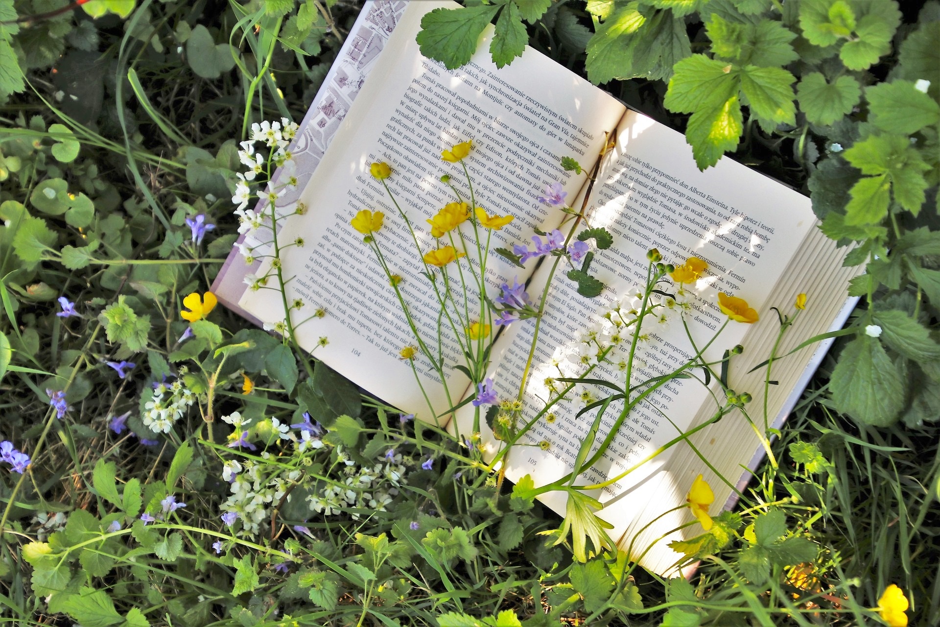 Spring summer books flowers grass nature outdoors leaves open