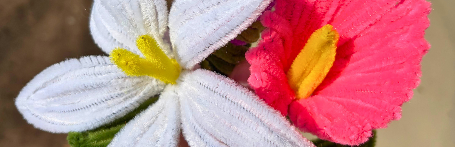 Pipe cleaner flower craft