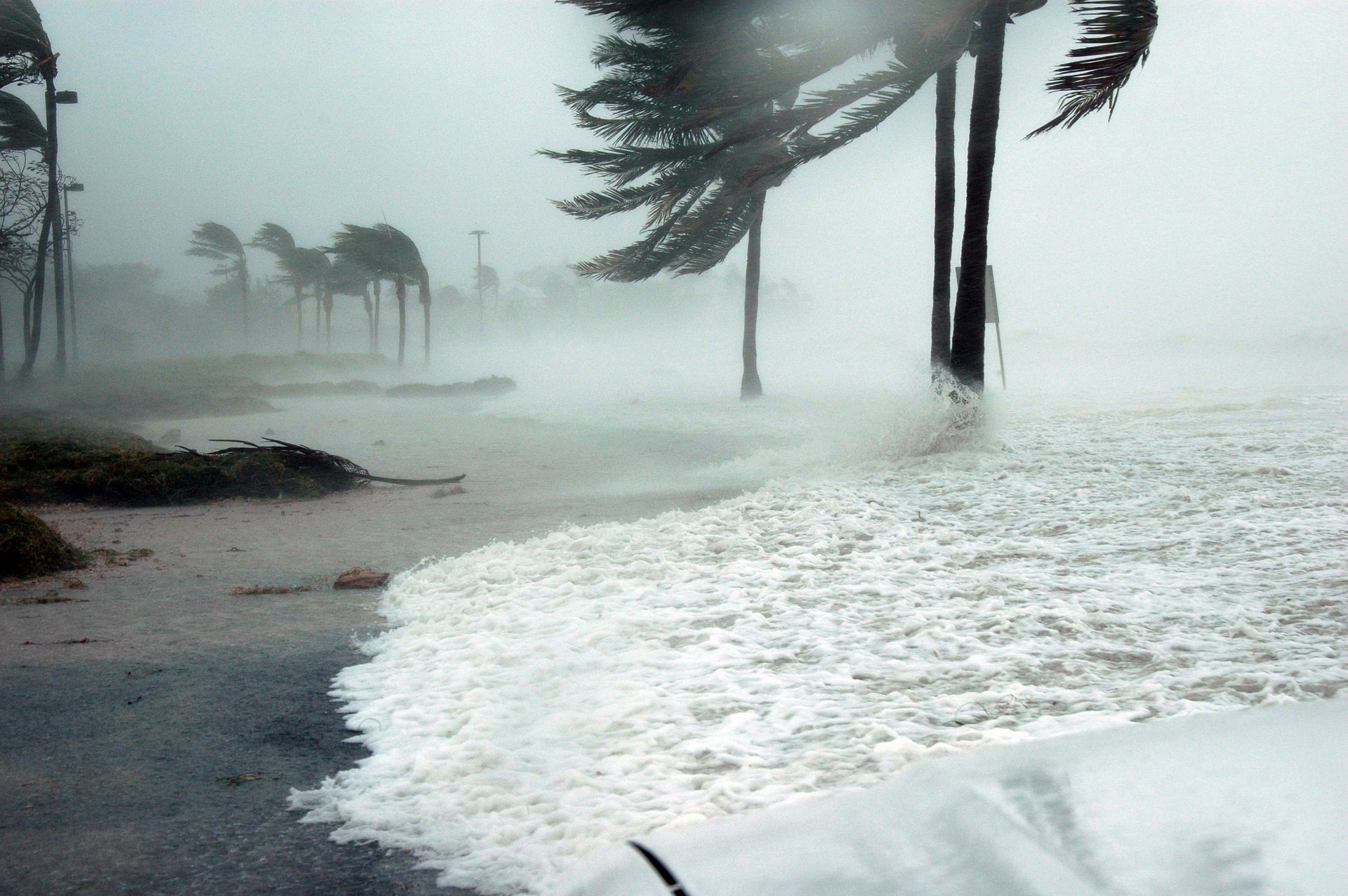 Hurricane Winds Ashore the Beach