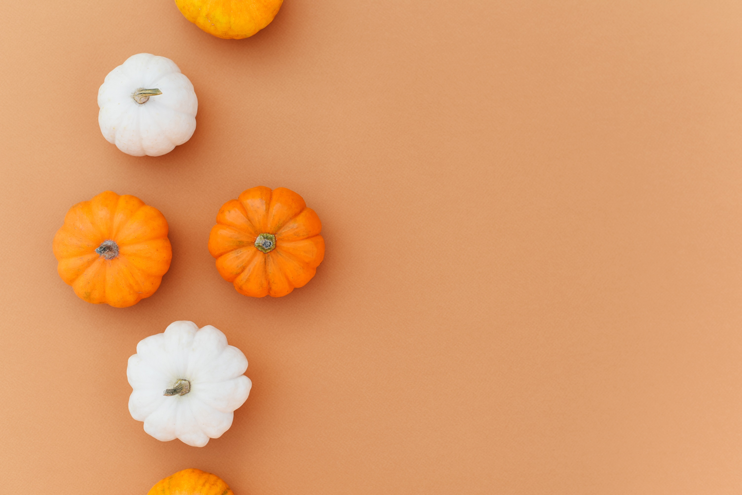 Multicolored Mini Pumpkins on an Orange background