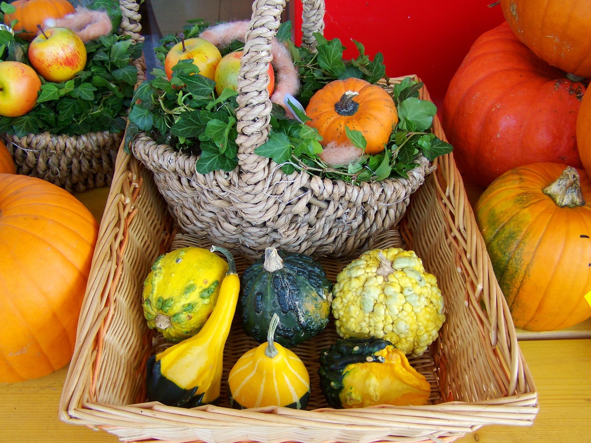 Fall vegetables