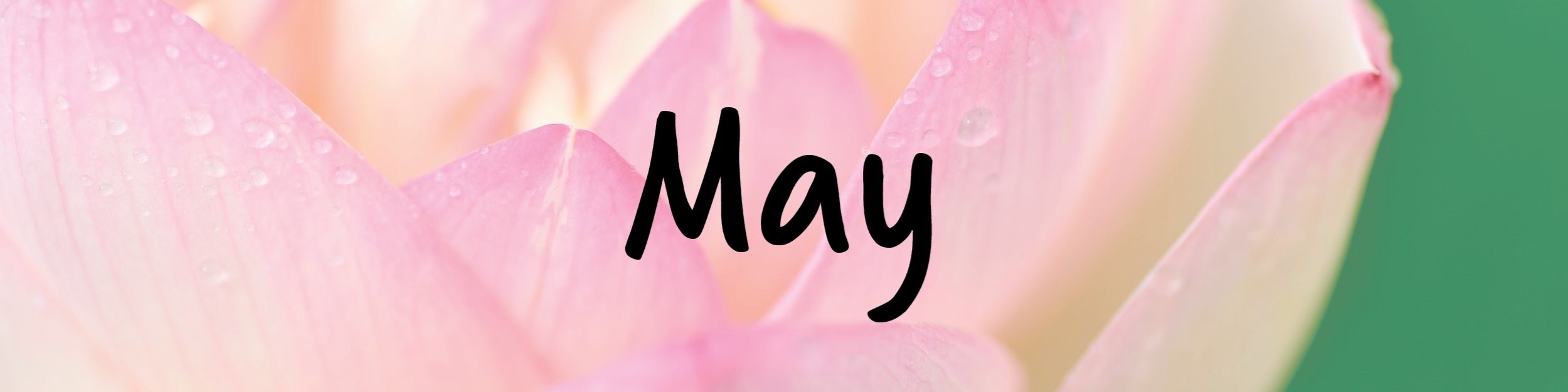 E-Blast Header - May