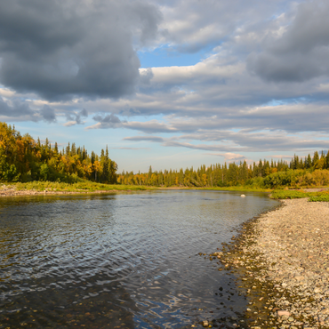 a river with trees on a sandy shoreline
