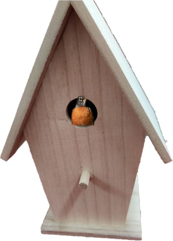 Wooden bird house