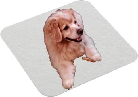 A coaster with a photo of a dog on it