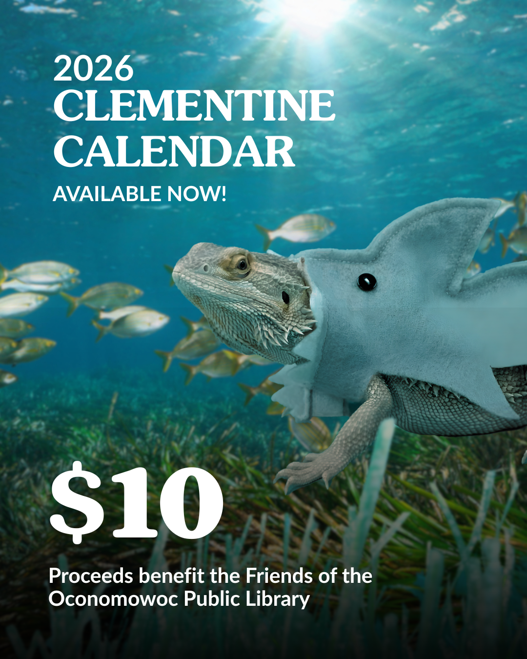 Wall calendar for the year 2026 titled 'Clementine 2026 Calendar.' The cover features a bearded dragon named Clementine, shown in a realistic photo wearing a bright red bow tie. Clementine is positioned diagonally across the page on a deep maroon background, with large white text displaying '2026' and smaller text reading 'Calendar' underneath. At the top, the name 'Clementine' appears in uppercase letters, and the Friends of the Oconomowoc Public Library logo is visible in the upper right corner. The calendar is spiral-bound and hangs against a light green wall. A portion of the next calendar page is visible beneath the cover.