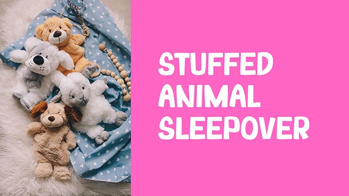 Stuffed Animal Sleepover