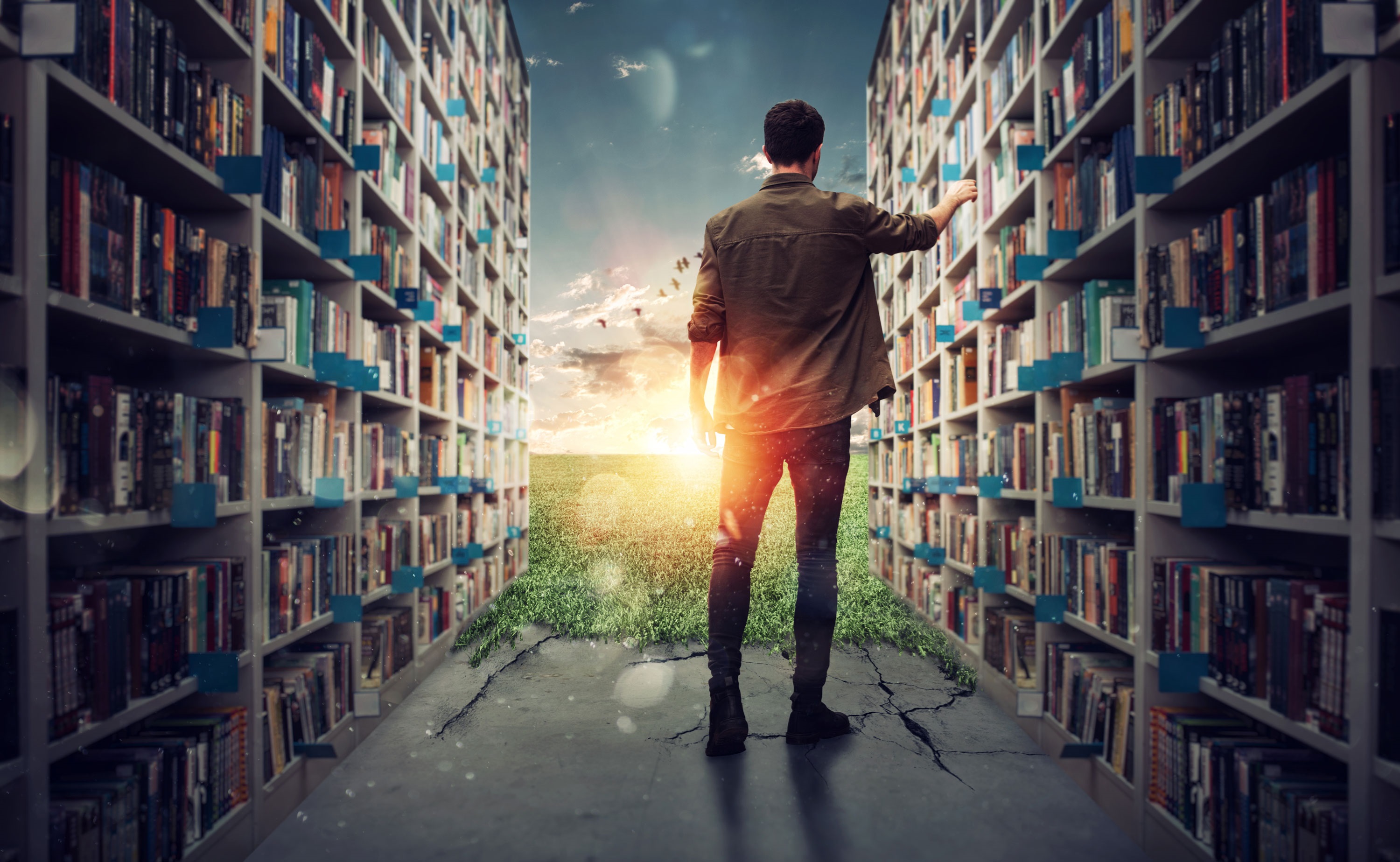 Man pulling books off a shelf with an imaginary scene in the background