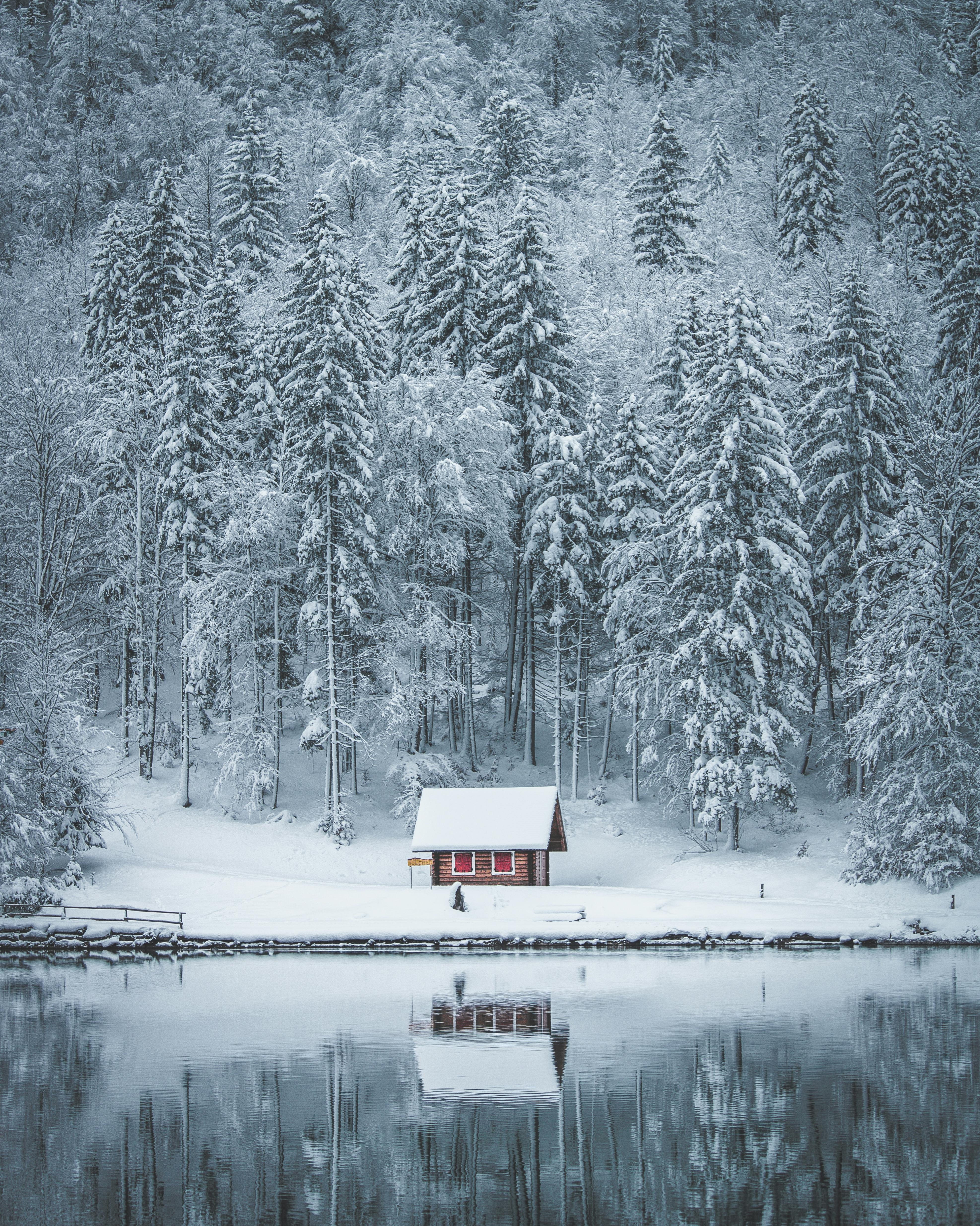 Small cabin in the woods surrounded by snow-covered trees. 