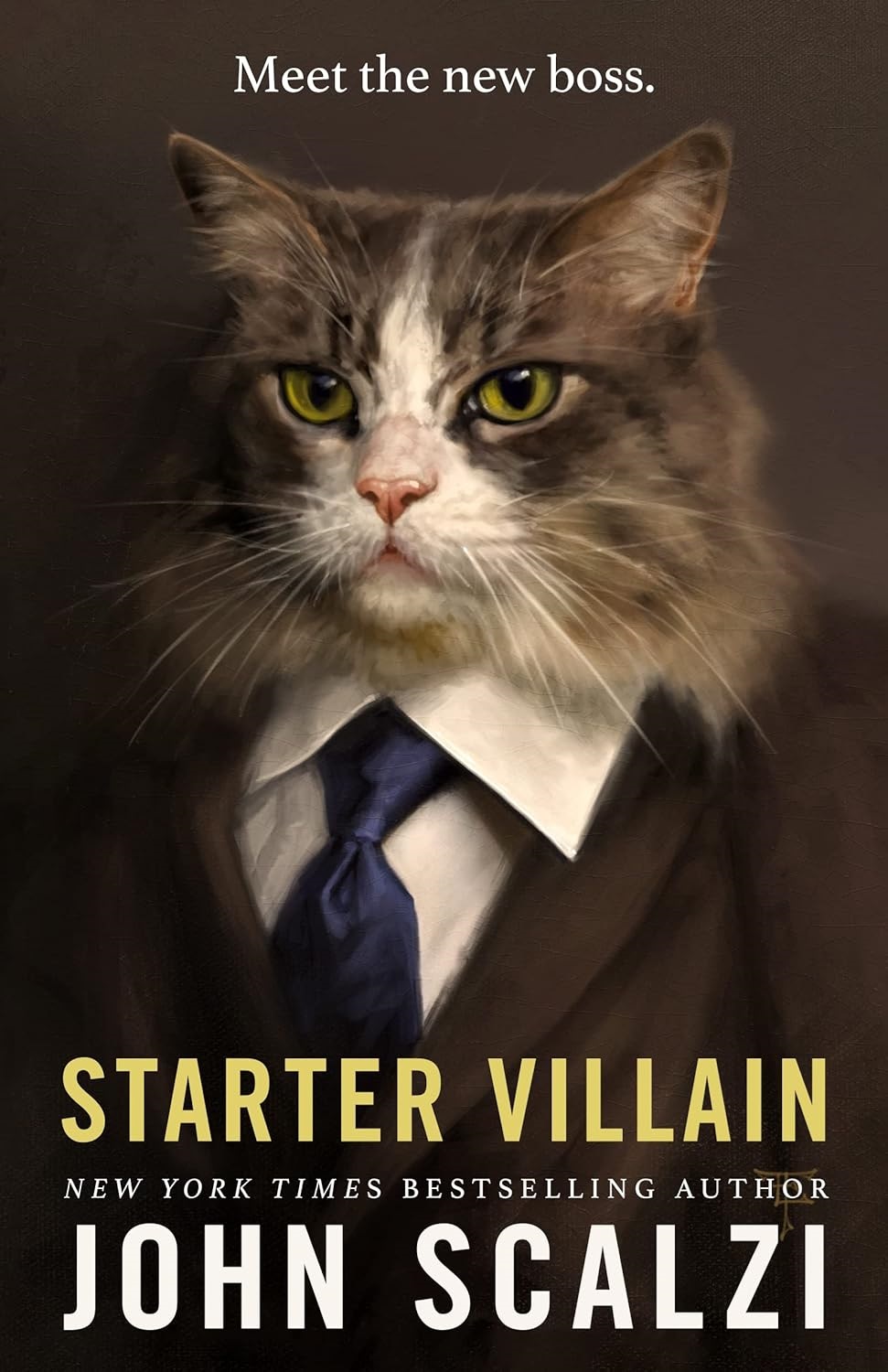 Starter villain book cover