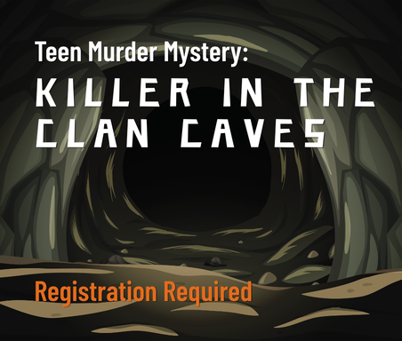 Teen murder mystery image