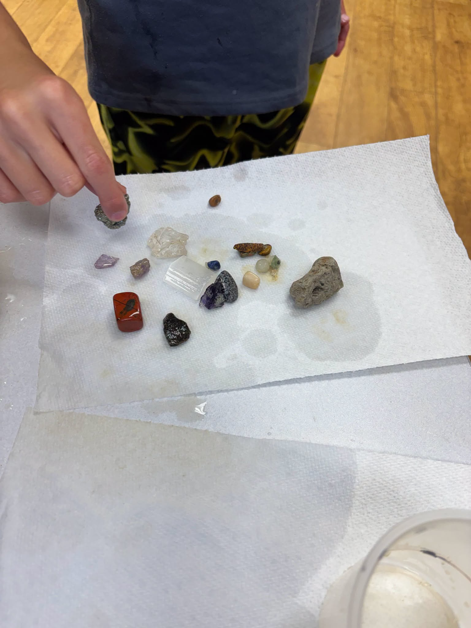 Fossil program