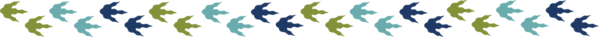 Icons - Lines Borders - Dinosaurs Footprints - Blue Green
