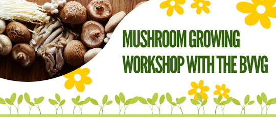 Mushroom Growing