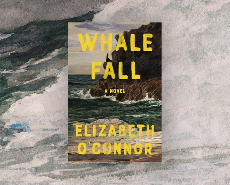 Planting Small Succulent Pots