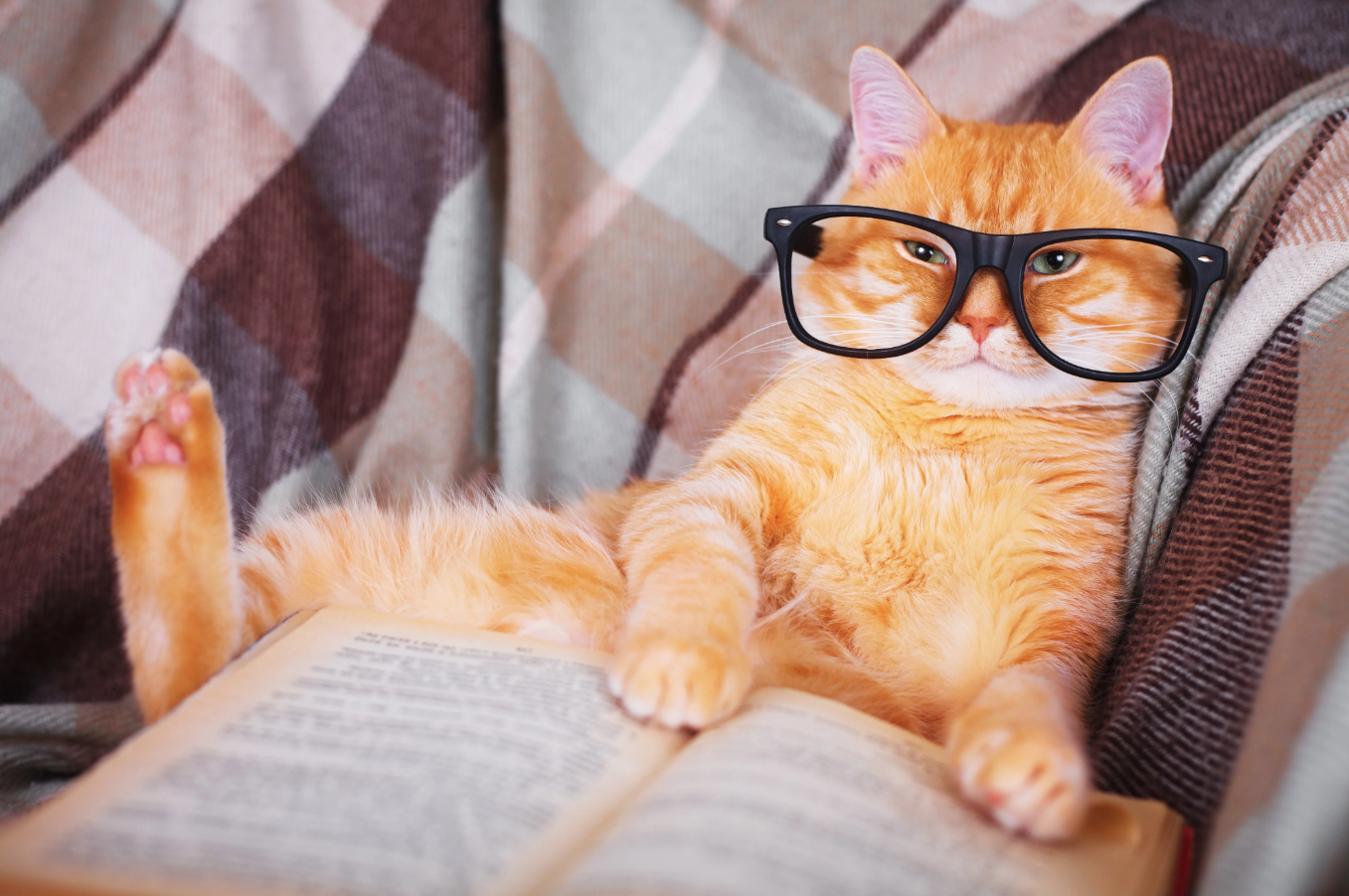 Planting Small Succulent Pots