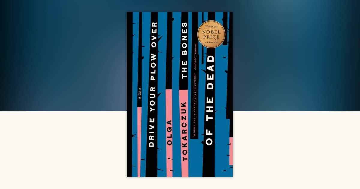 Planting Small Succulent Pots