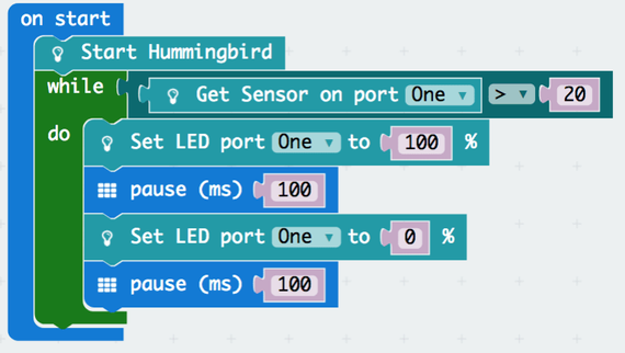 Planting Small Succulent Pots
