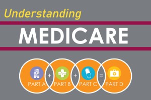 Planting Small Succulent Pots