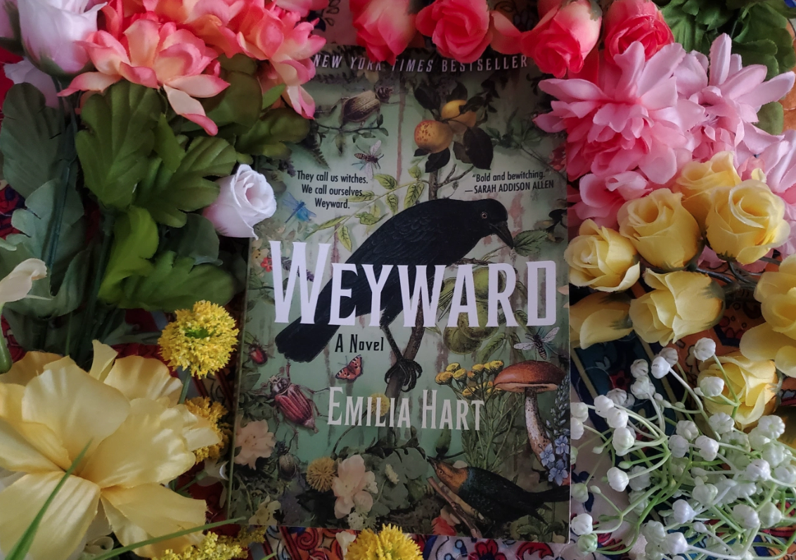 Planting Small Succulent Pots