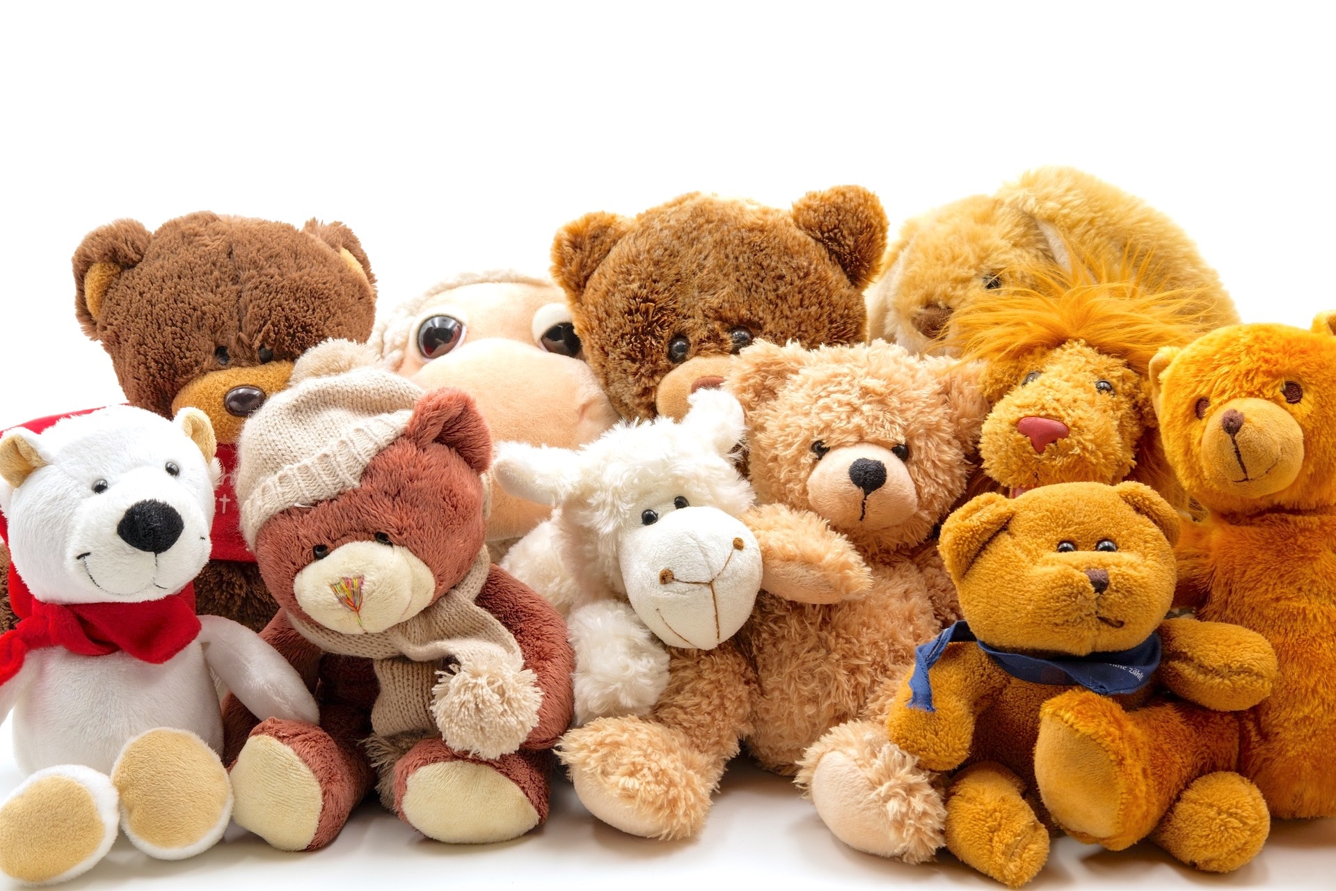 Stuffed Animals on White Background