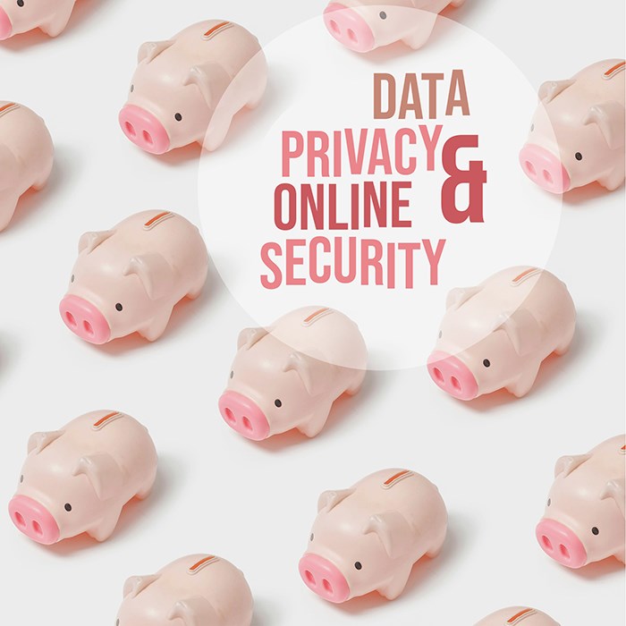 Data Privacy & Online Security