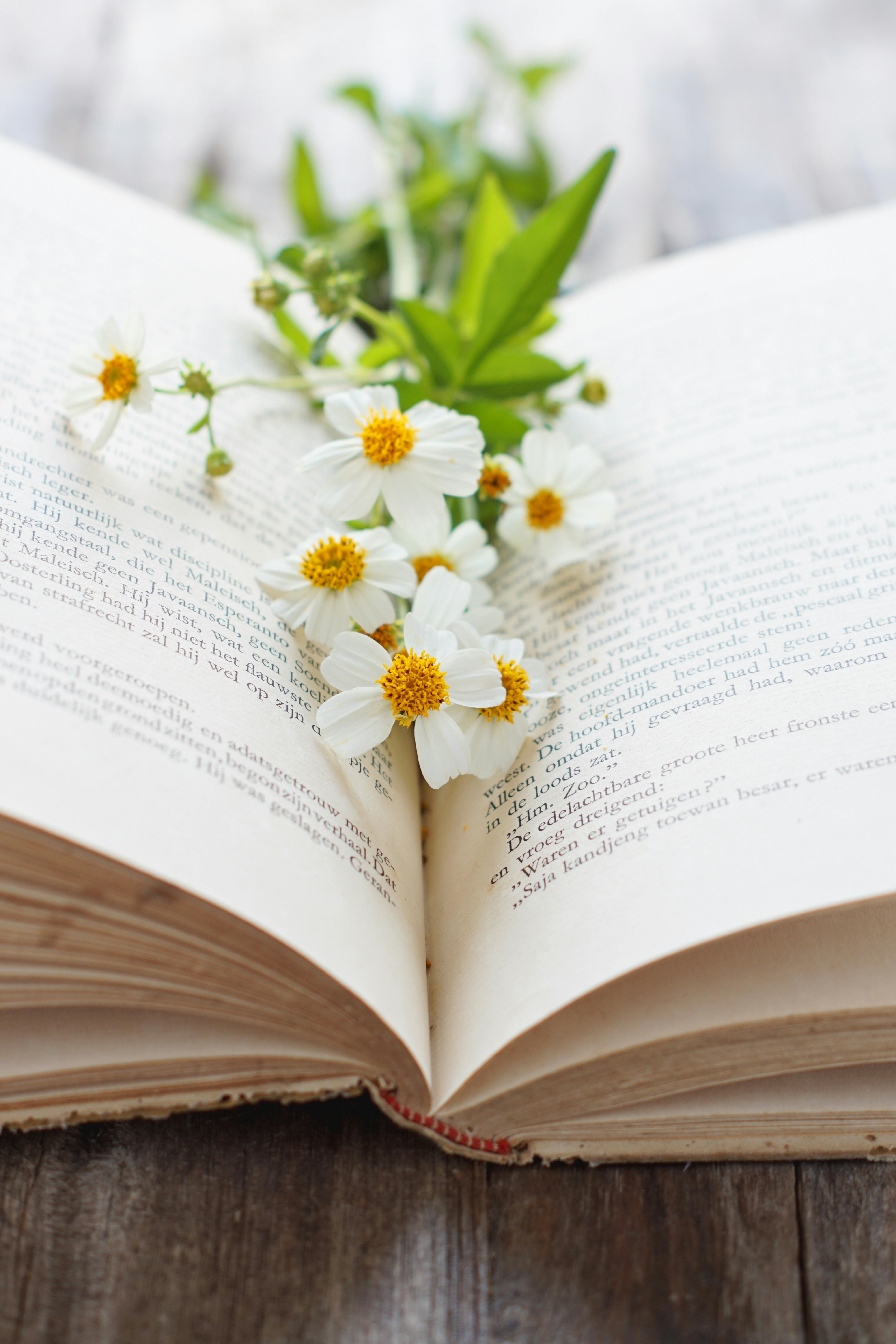 Close Up of Open Book with Little White Flowers in the Middle of the Pages