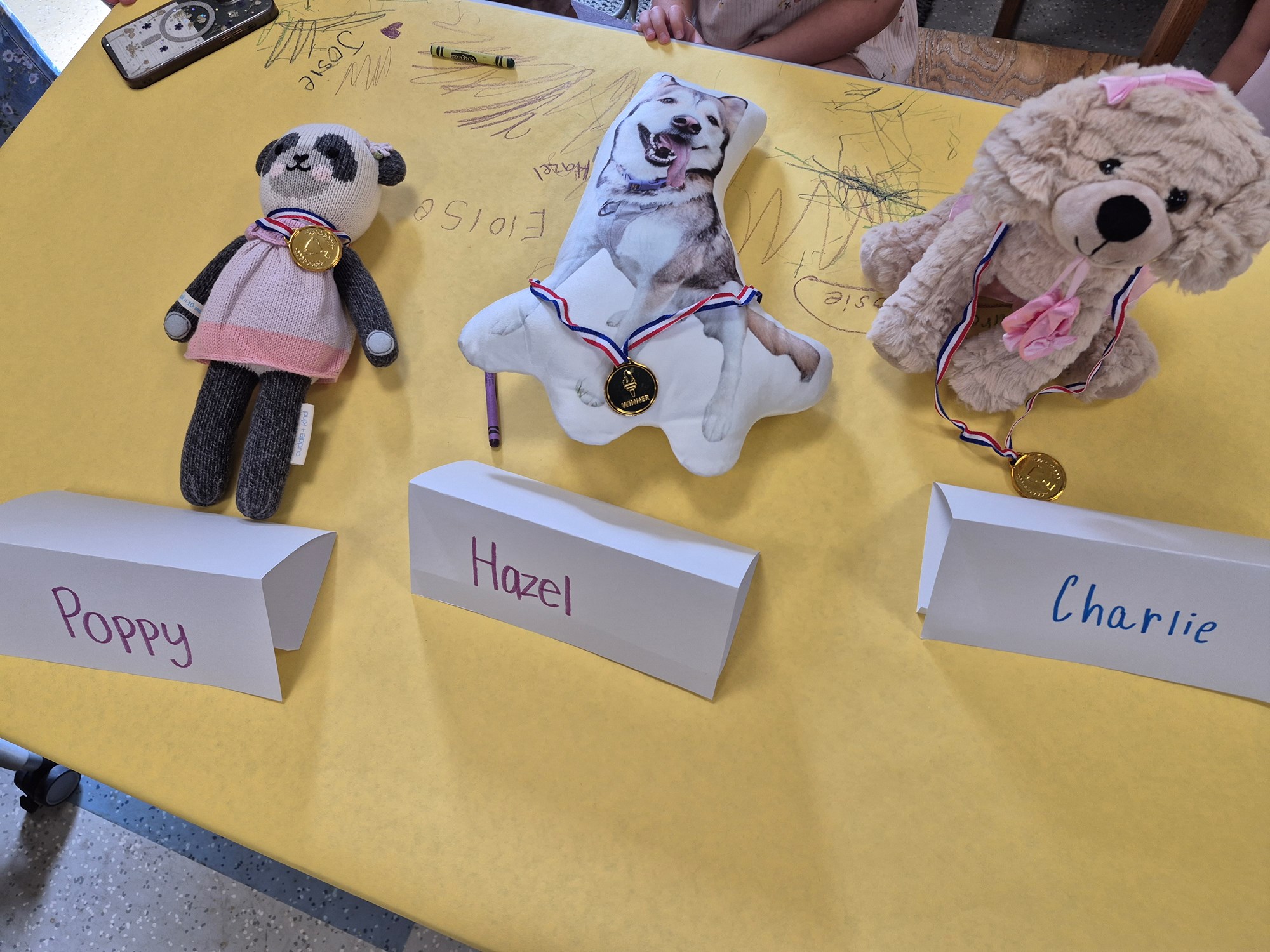 Panda, husky, and dog stuffed animals posing with their medals at the Stuffed Pet Show.