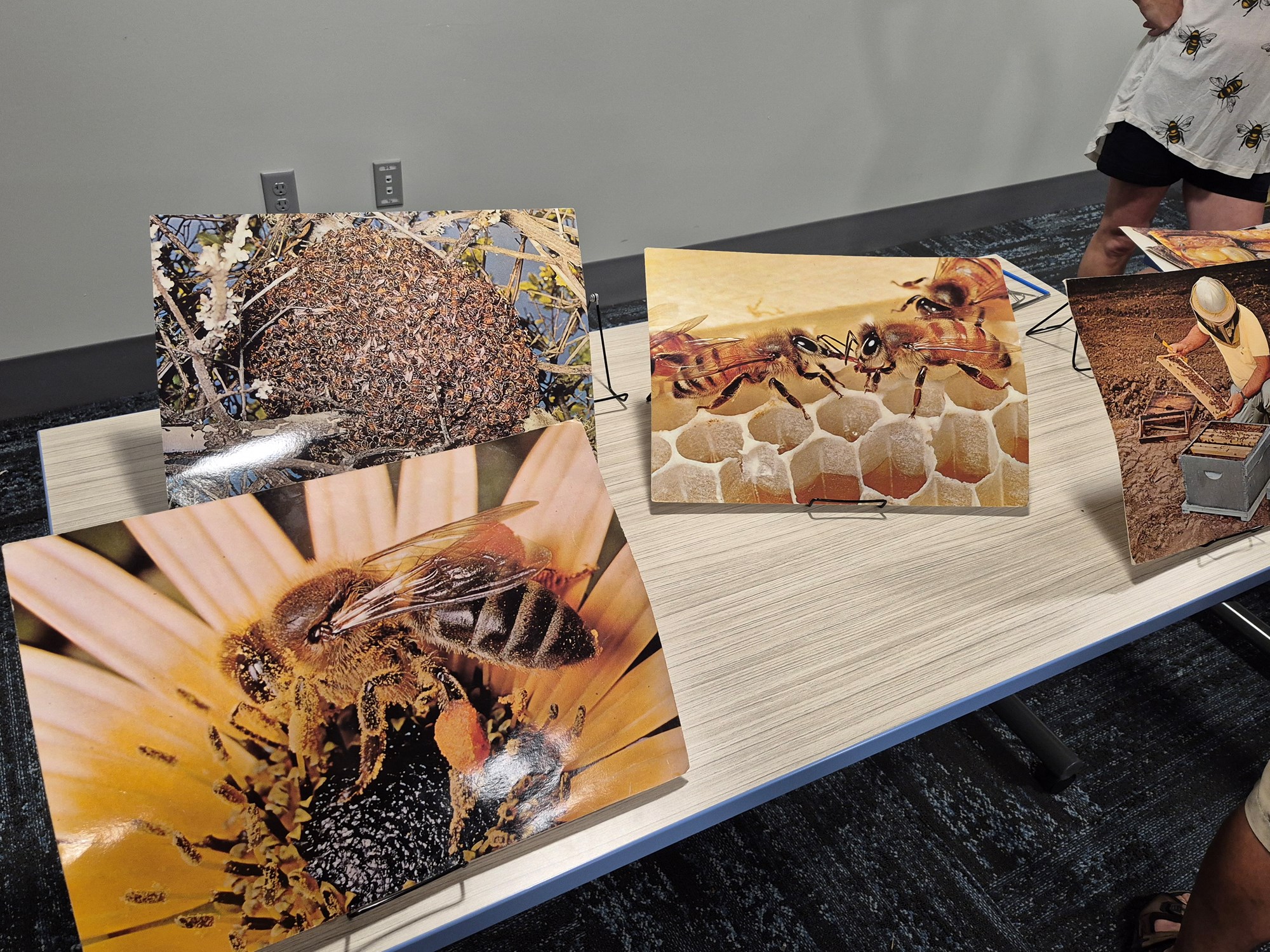 Photos of bees on display in the Meeting Room.