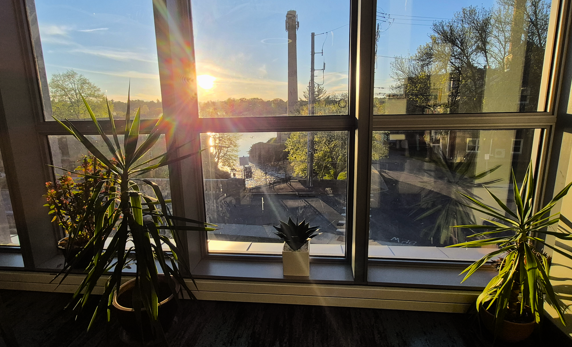 Sunset through the windows in the Godino Mystery Wing of the library.