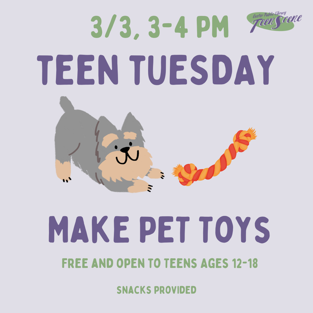 Teen Tuesday: Make Pet Toys on Tuesday, March 3 at 3 PM.