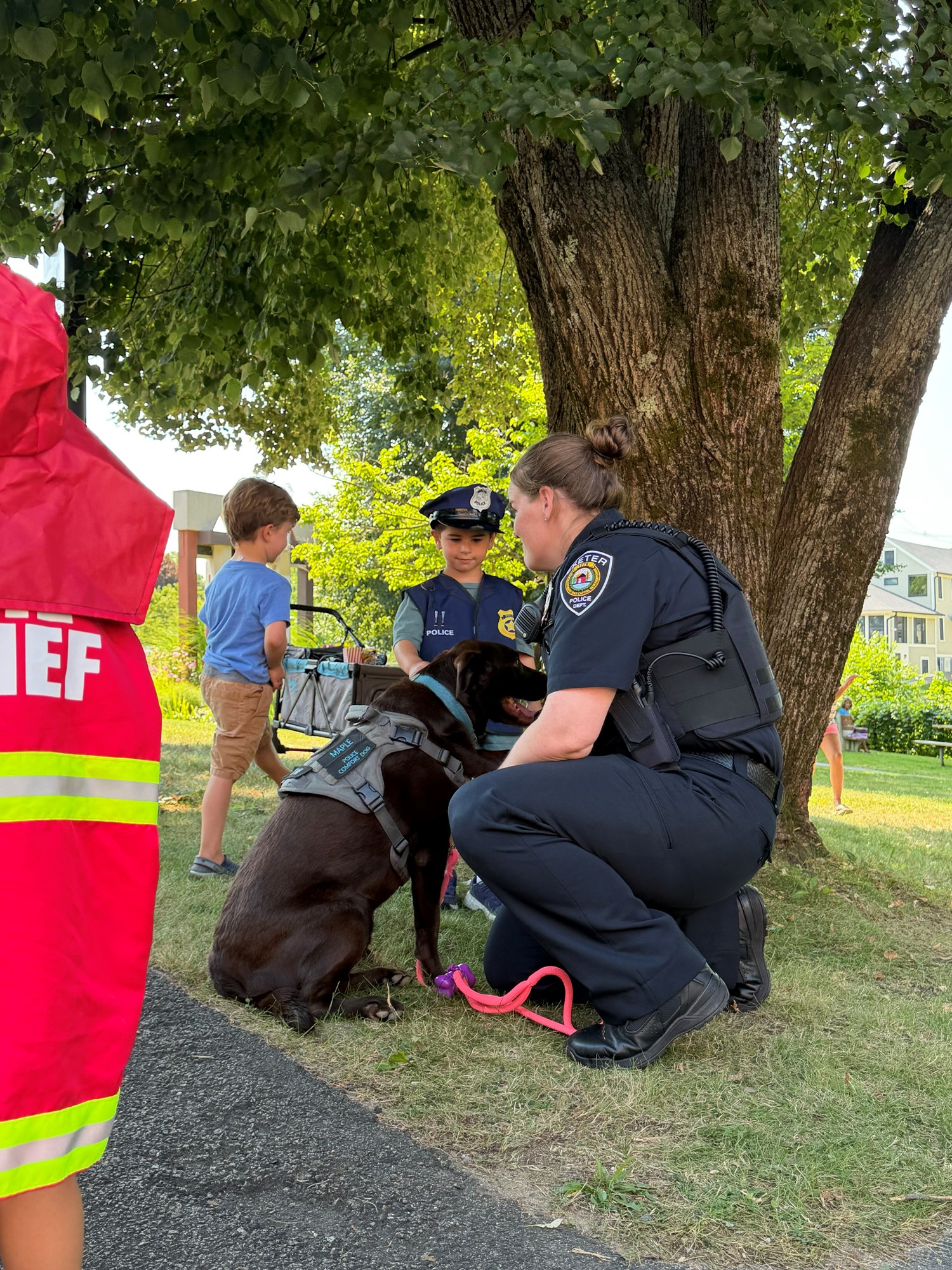 Maple the Comfort Dog from Exeter Police Department greeting patrons at Touch-a-Truck.